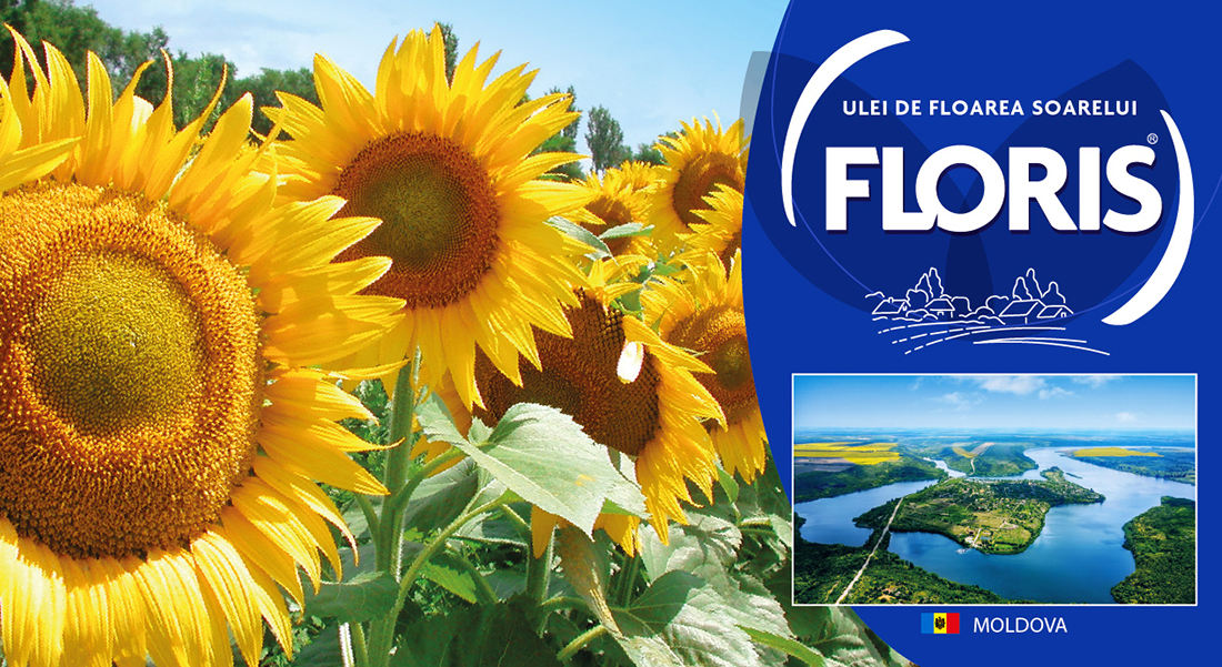 FLORIS INTERNATIONAL