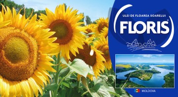 FLORIS INTERNATIONAL FLORIS INTERNATIONAL