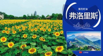 FLORIS INTERNATIONAL FLORIS INTERNATIONAL