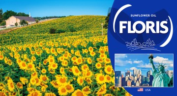 FLORIS INTERNATIONAL FLORIS INTERNATIONAL