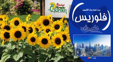 FLORIS INTERNATIONAL FLORIS INTERNATIONAL