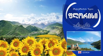 FLORIS INTERNATIONAL FLORIS INTERNATIONAL