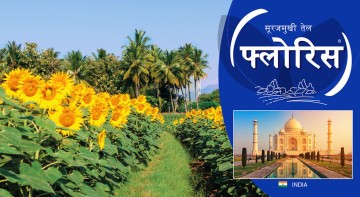 FLORIS INTERNATIONAL FLORIS INTERNATIONAL