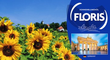 FLORIS INTERNATIONAL FLORIS INTERNATIONAL