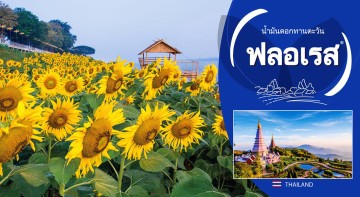 FLORIS INTERNATIONAL FLORIS INTERNATIONAL