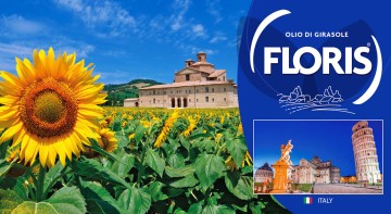 FLORIS INTERNATIONAL FLORIS INTERNATIONAL